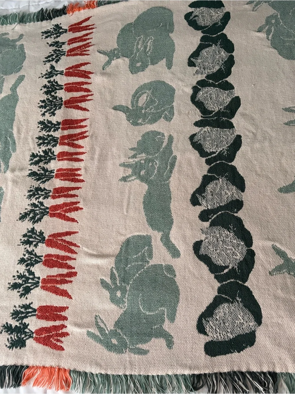Rabbit & vegetable Cotton fringe edge Throw Blanket in Mint and Coral